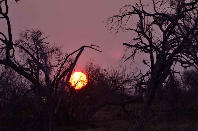 02 - Botswana - parque nacional de Chobe - amanecer